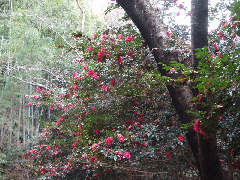 2025-12_SEITA3.jpg(126319 byte)